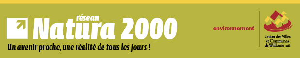 circulaire