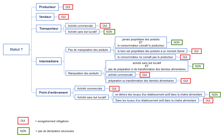 mind map