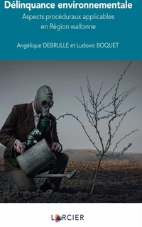 Délinquance environnementale : aspects procéduraux applicables en Région wallonne
