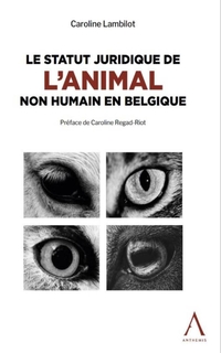 Le statut juridique de l'animal non humain en Belgique